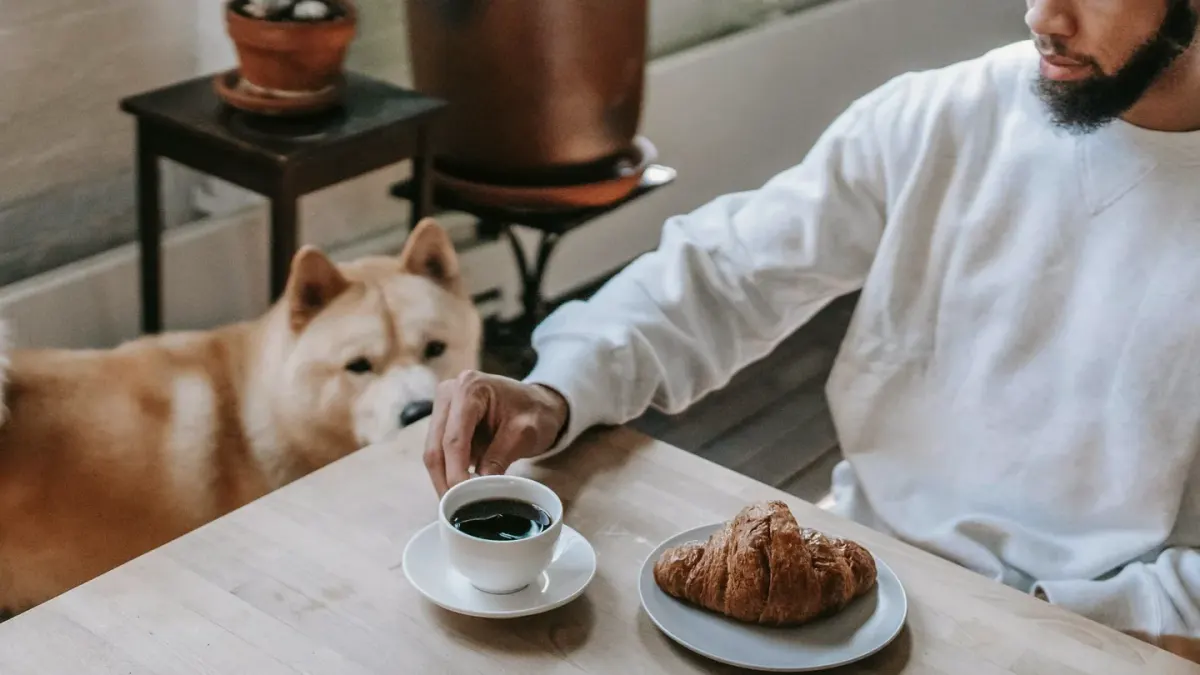 A dog eating from a bowl on a kitchen floor while an owner watches nearby