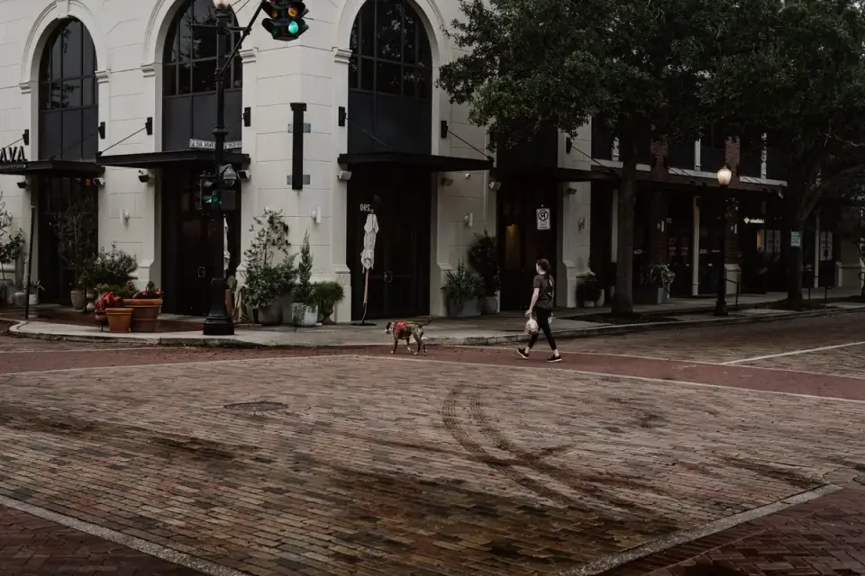 A dog holding a down-stay on a leash near a busy sidewalk with pedestrians passing