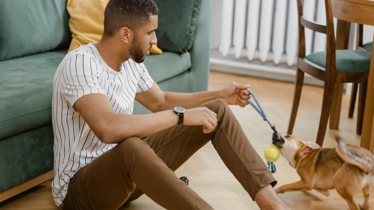 A dog nosing a puzzle feeder toy on a living room rug