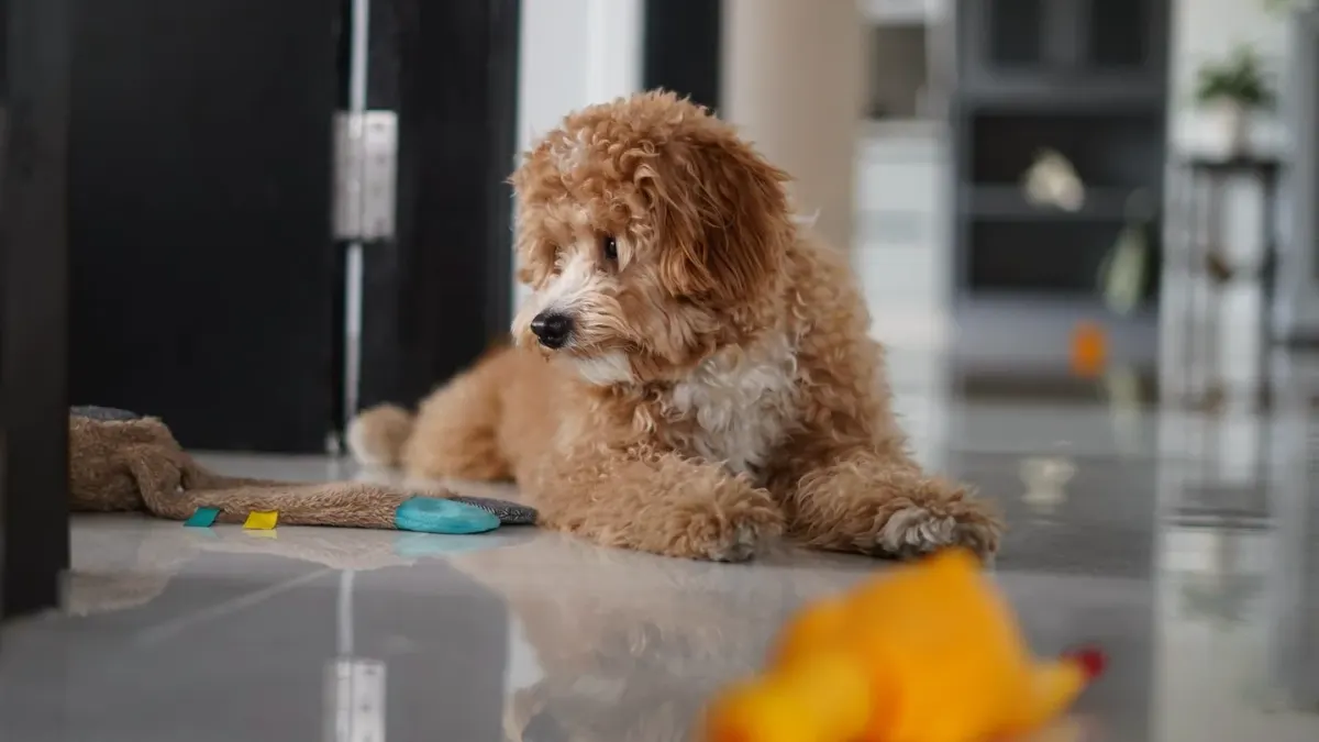 A dog nosing through a fabric snuffle mat while lying on the floor