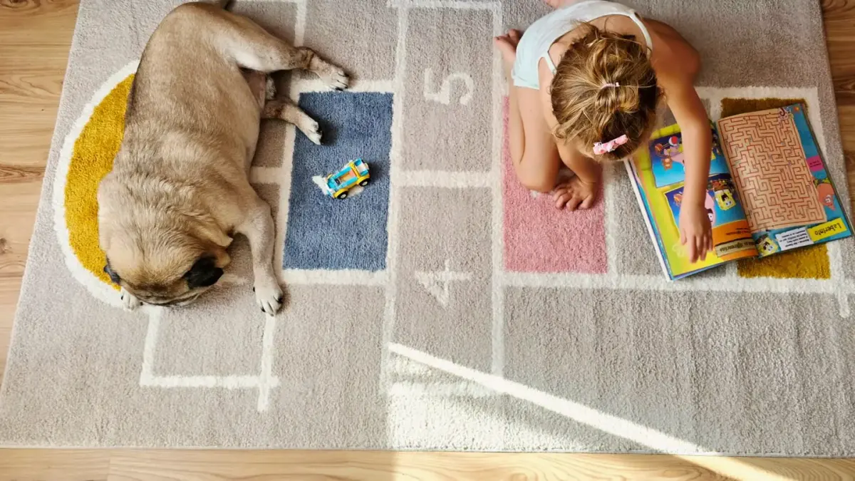 A dog nosing through a snuffle mat puzzle feeder on a living room floor