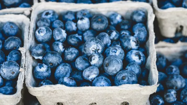 A dog reaching for a few fresh blueberries held out in an open palm