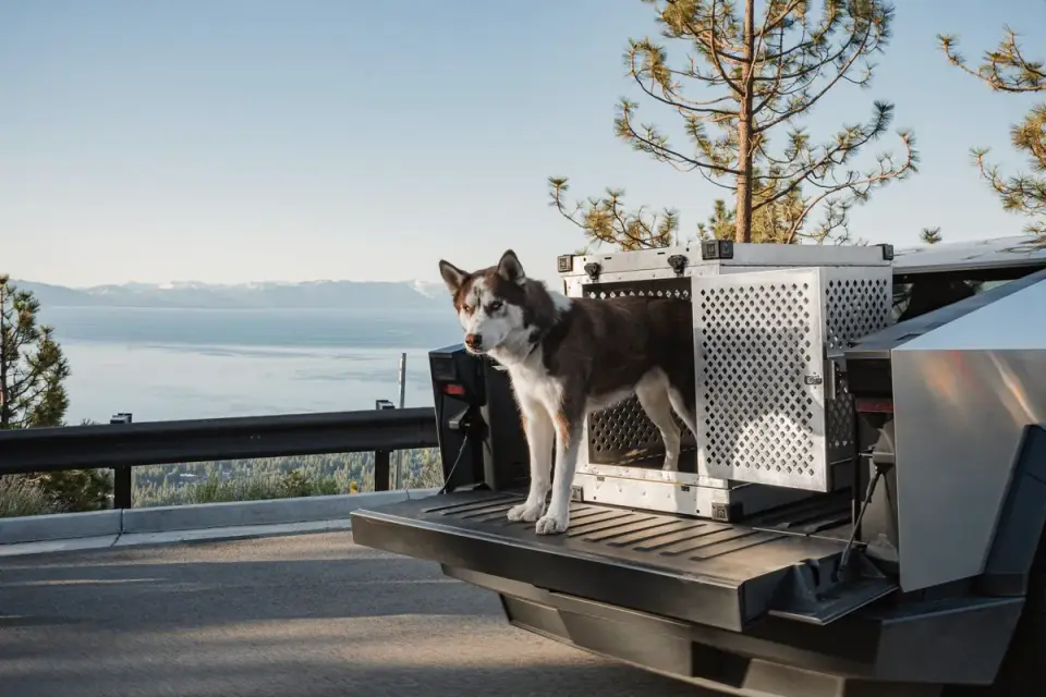 A dog resting inside a secured travel crate in a car&#x27;s cargo area