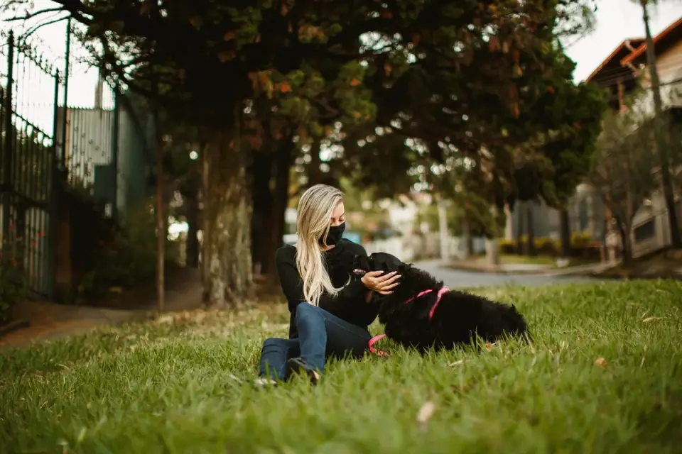A dog running toward its owner during an off-leash recall exercise in a park