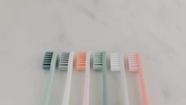 A dog toothbrush resting next to a tube of pet toothpaste on a counter