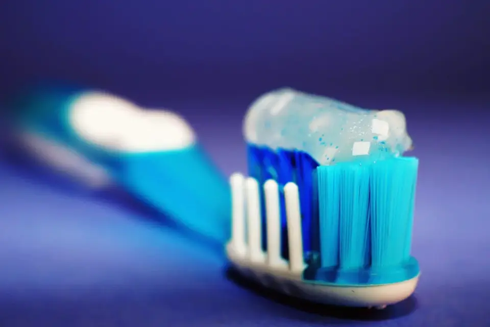 A dog toothbrush resting next to a tube of pet toothpaste
