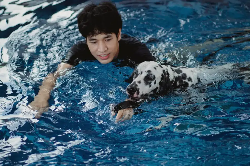 A dog wearing a flotation vest swimming in a hydrotherapy pool
