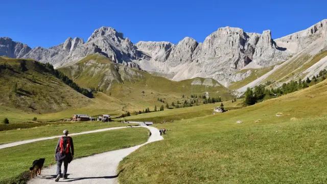 A hiker and a mixed-breed dog walking together on a rocky mountain trail