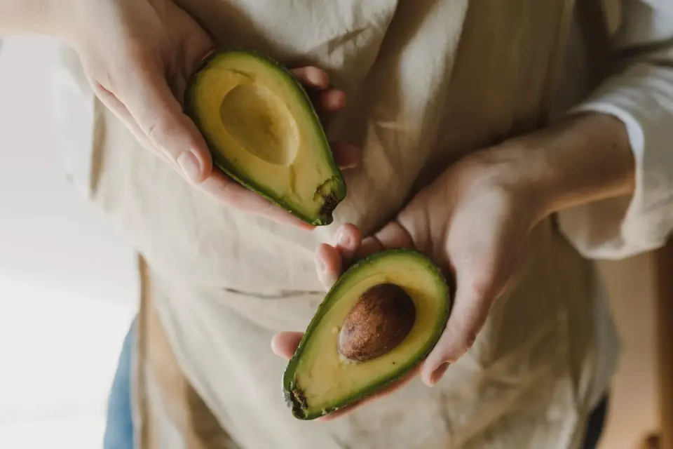 A large avocado pit sitting on a kitchen counter with a dog nearby