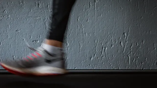A medium-sized dog stepping onto an indoor treadmill in a home exercise room