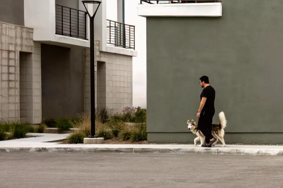 A person walking a small dog on a city sidewalk outside an apartment building