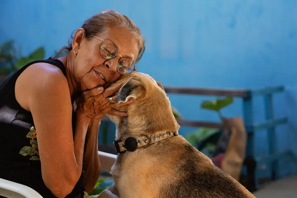 A pet sitter giving an older dog a pill at home