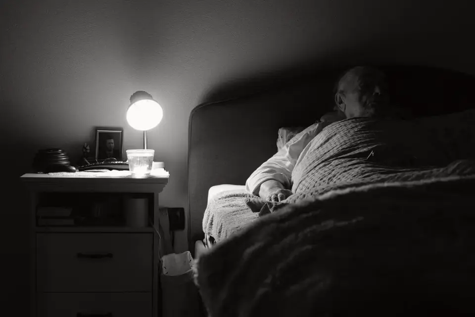 A senior dog resting on a supportive orthopedic bed in a quiet, dim bedroom