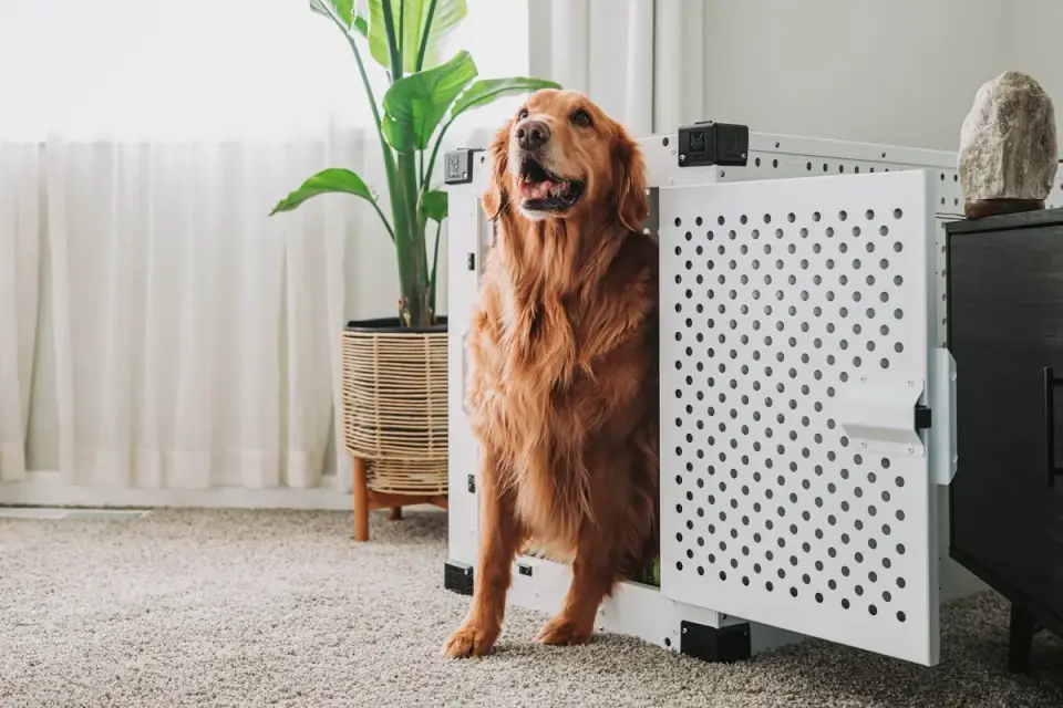 A small dog crate with the door open in a living room