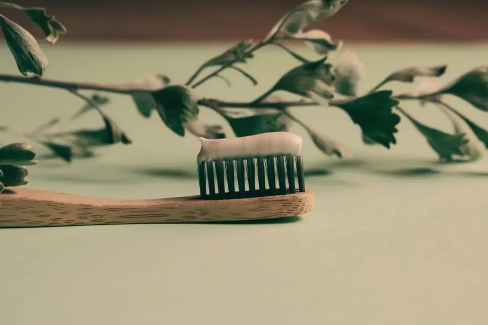 A soft-bristled dog toothbrush and tube of pet toothpaste on a bathroom counter