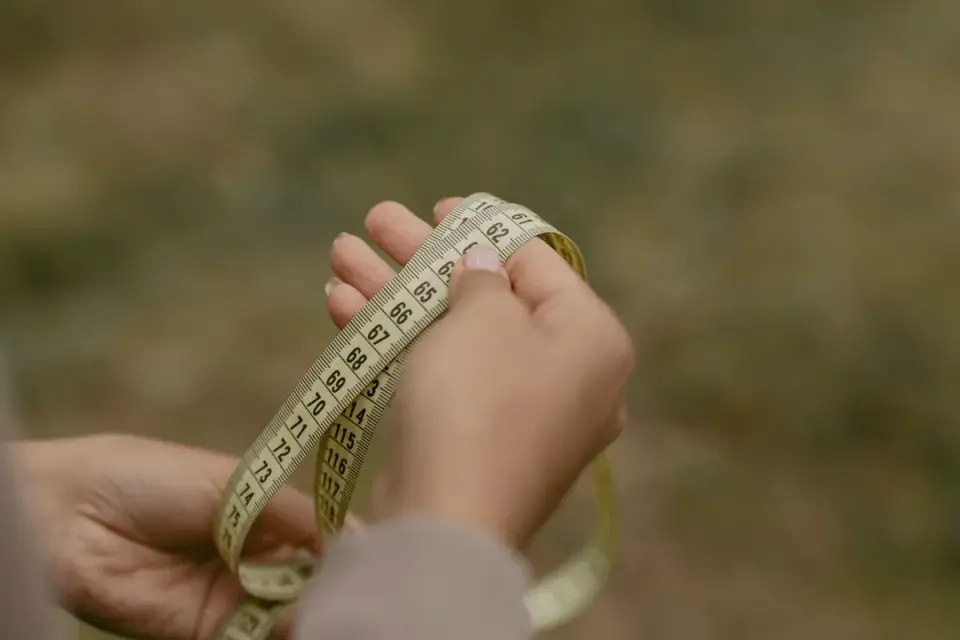 A soft fabric tape measure next to a buckled dog collar on a table