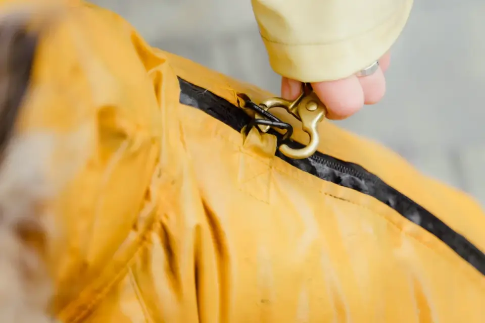 A trainer clipping a treat pouch to a waistband before working with a dog