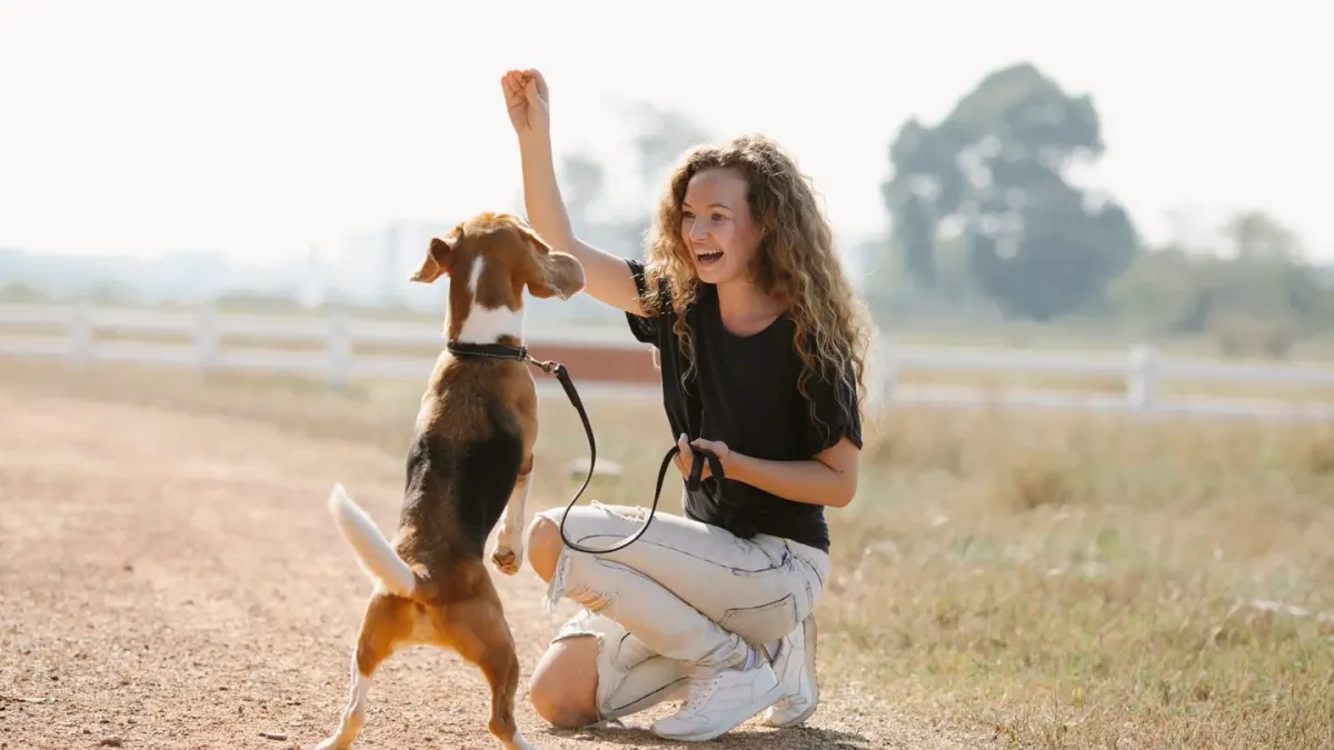 A trainer kneeling beside a leashed dog during an outdoor session