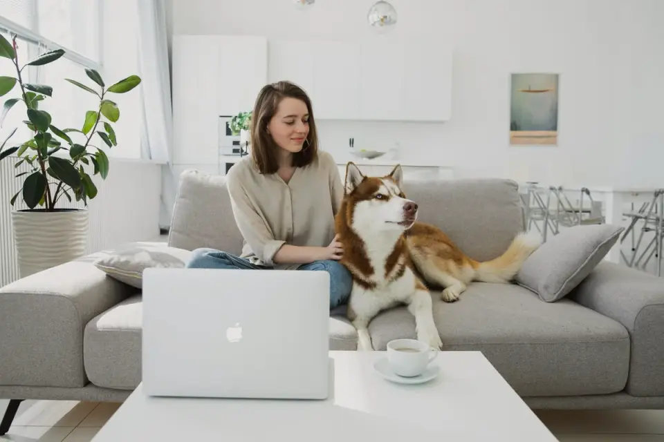 A trainer kneeling with a dog during a private in-home lesson