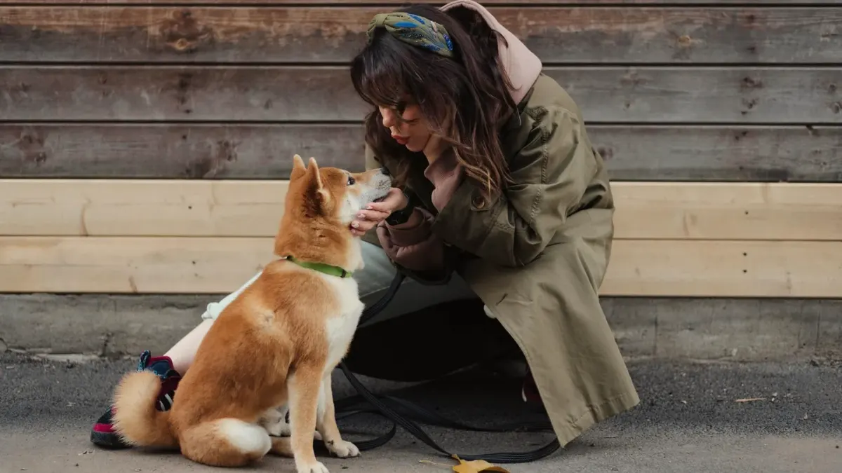 A trainer offering a treat to a dog sitting calmly during a training session