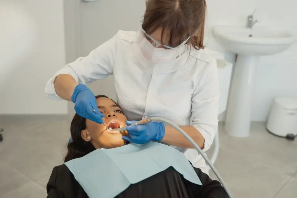 A veterinarian checking a dog&#x27;s teeth and gums during a wellness exam