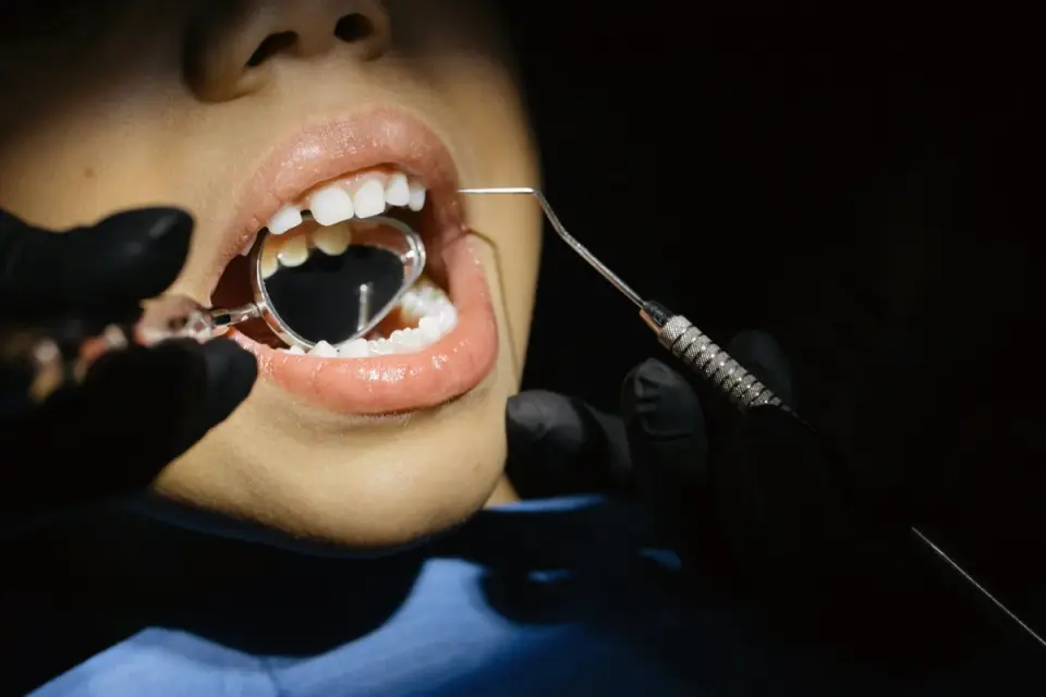 A veterinarian gently checking a puppy&#x27;s teeth and gums