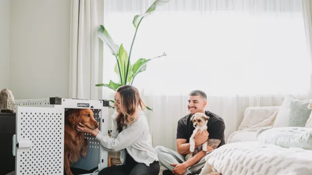 A veterinarian kneeling to speak with a dog owner while an anxious dog leans against the owner's leg
