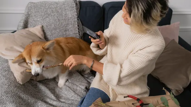 A woman kneeling on a living room floor training a young dog with a handful of treats