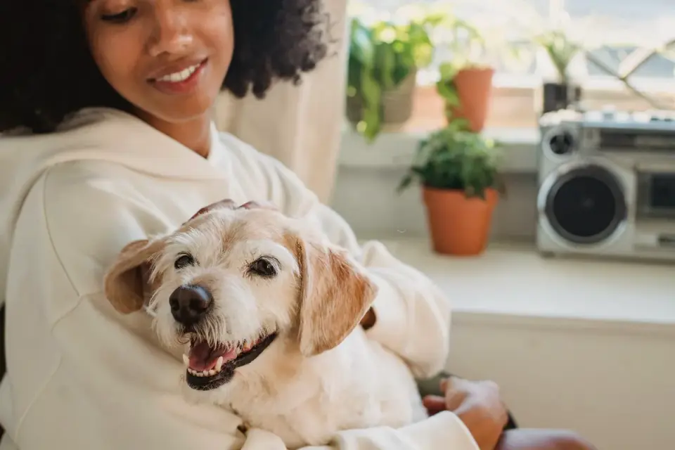 An owner reading the ingredient label on a dog supplement container at home