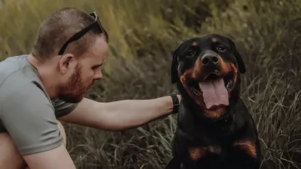 Dog and owner together