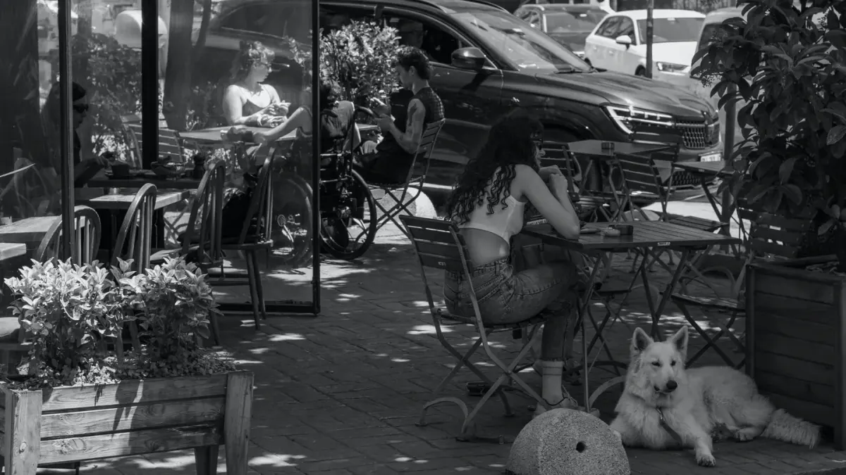 Dog at an outdoor cafe