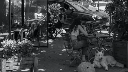 Dog at an outdoor cafe