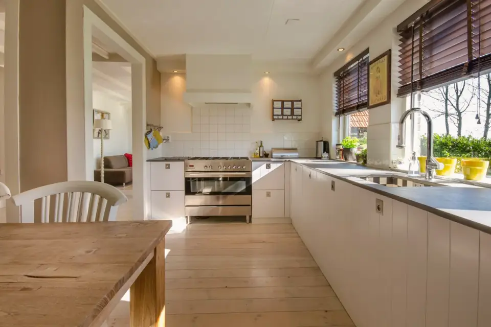 Dog at home near a kitchen