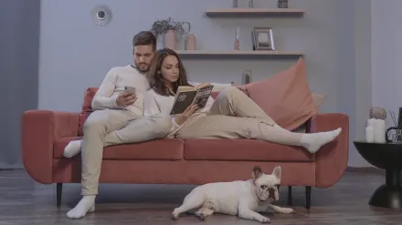 Dog bed at home