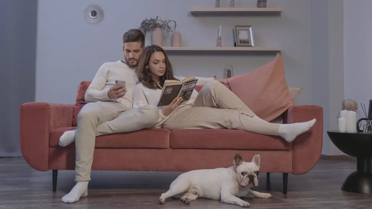Dog bed at home