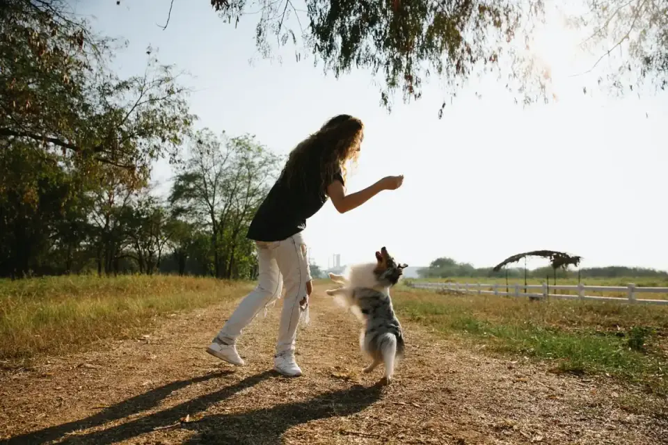 Dog beside a cycling path