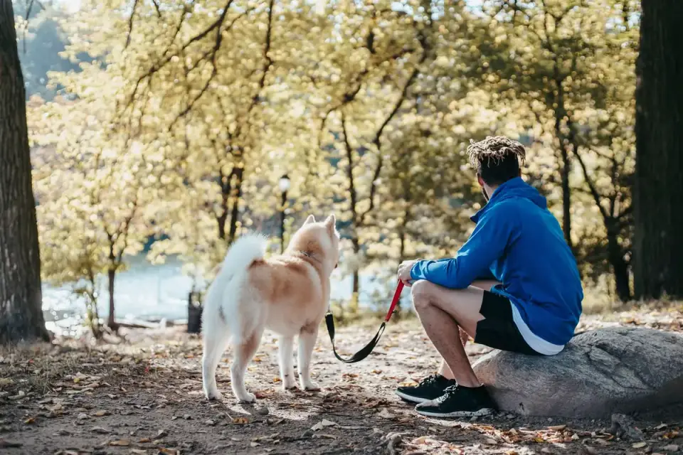 Dog beside a cycling path