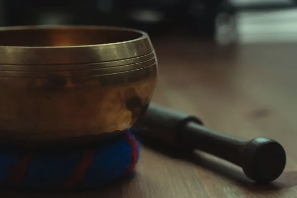 Dog bowl at home