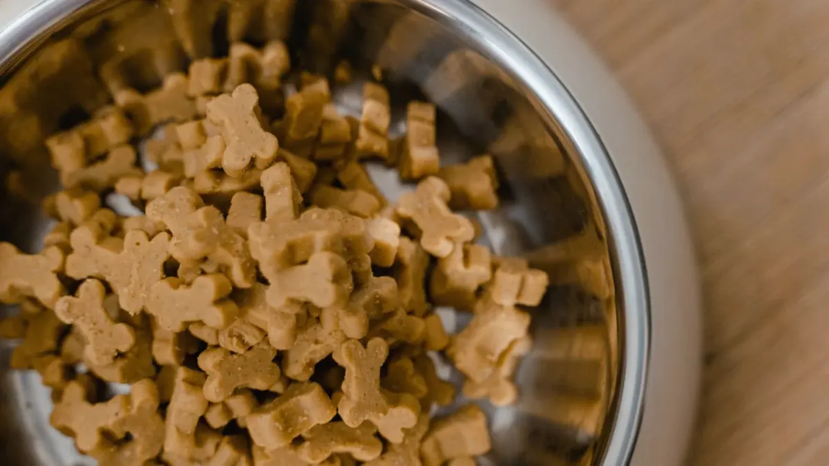 Dog eating from a bowl at home
