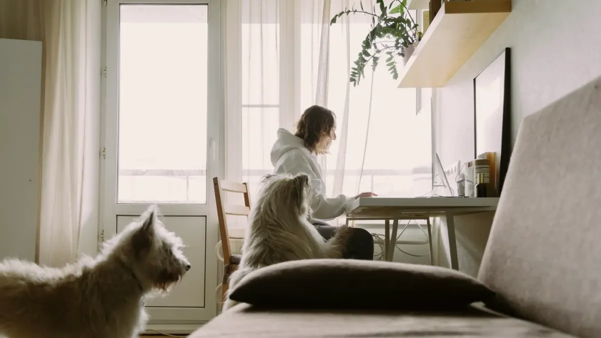 Dog eating from a bowl at home