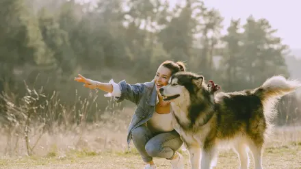 Dog giving a paw