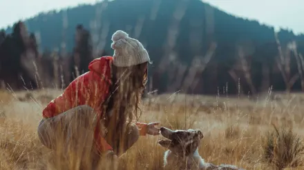 Dog giving a paw