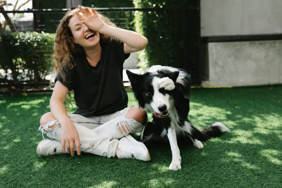Dog giving a paw