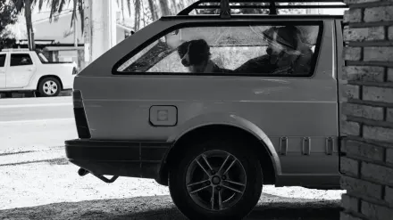 Dog in a car seat