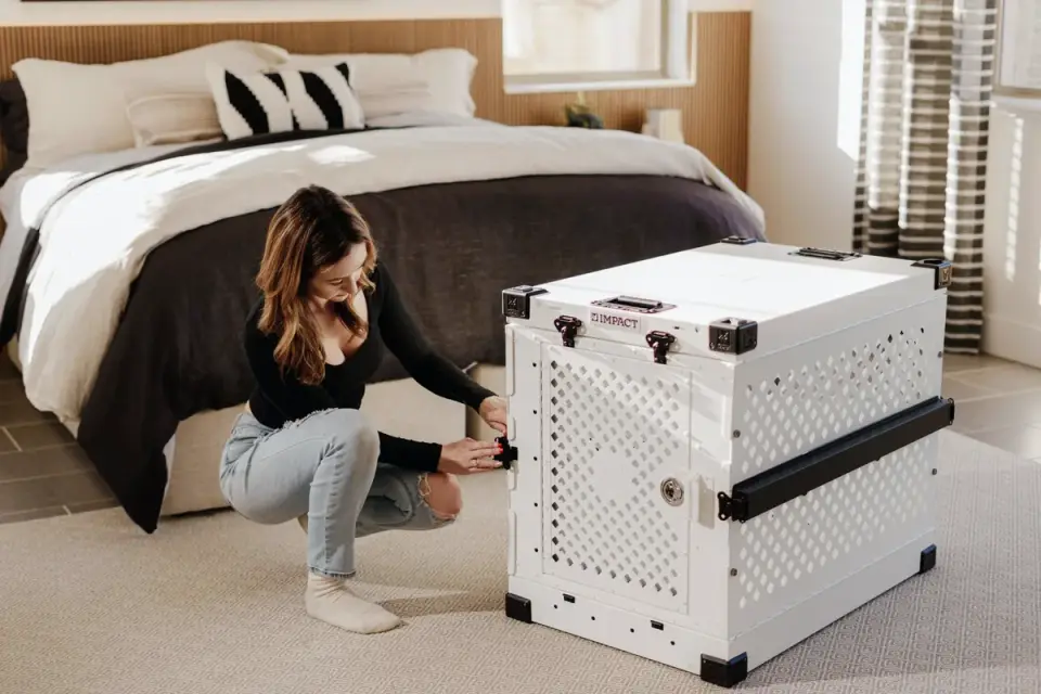 Dog in a travel crate