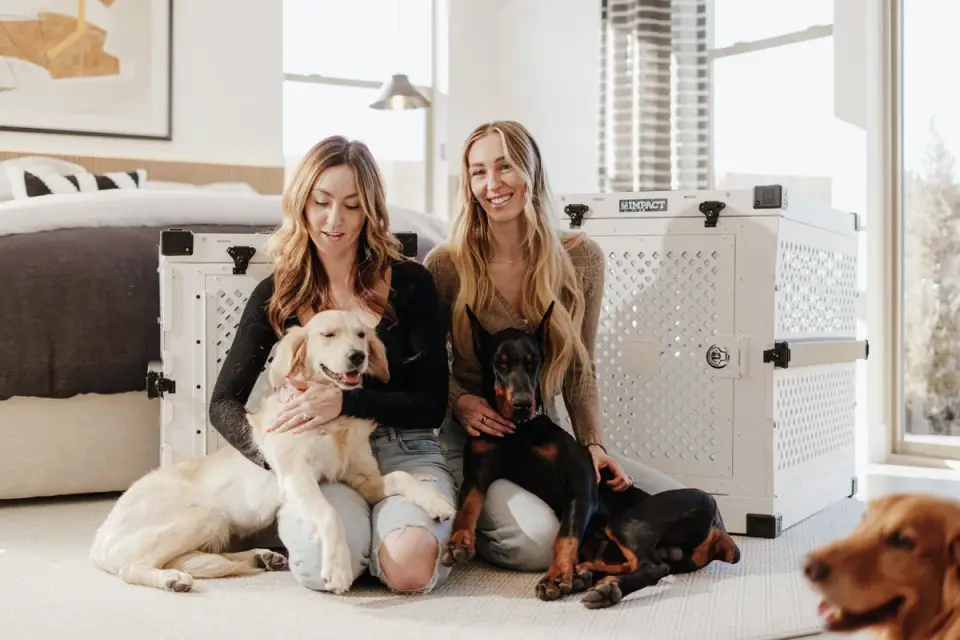Dog in a travel crate