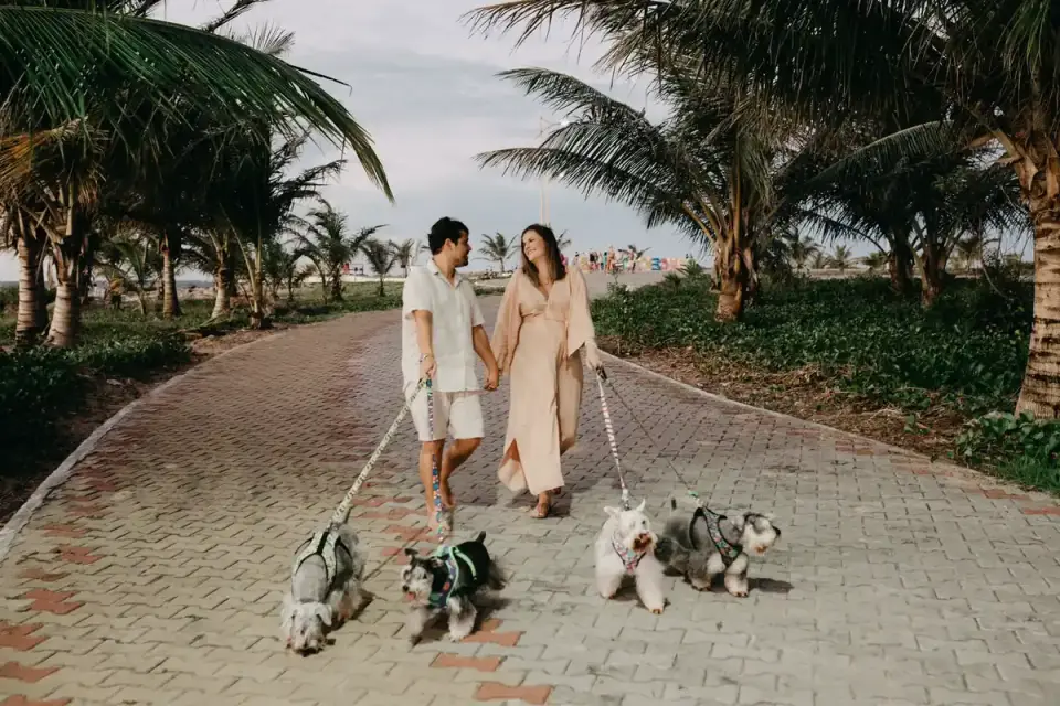 Dog leash outdoors