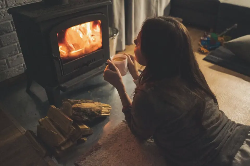 Dog near a fireplace