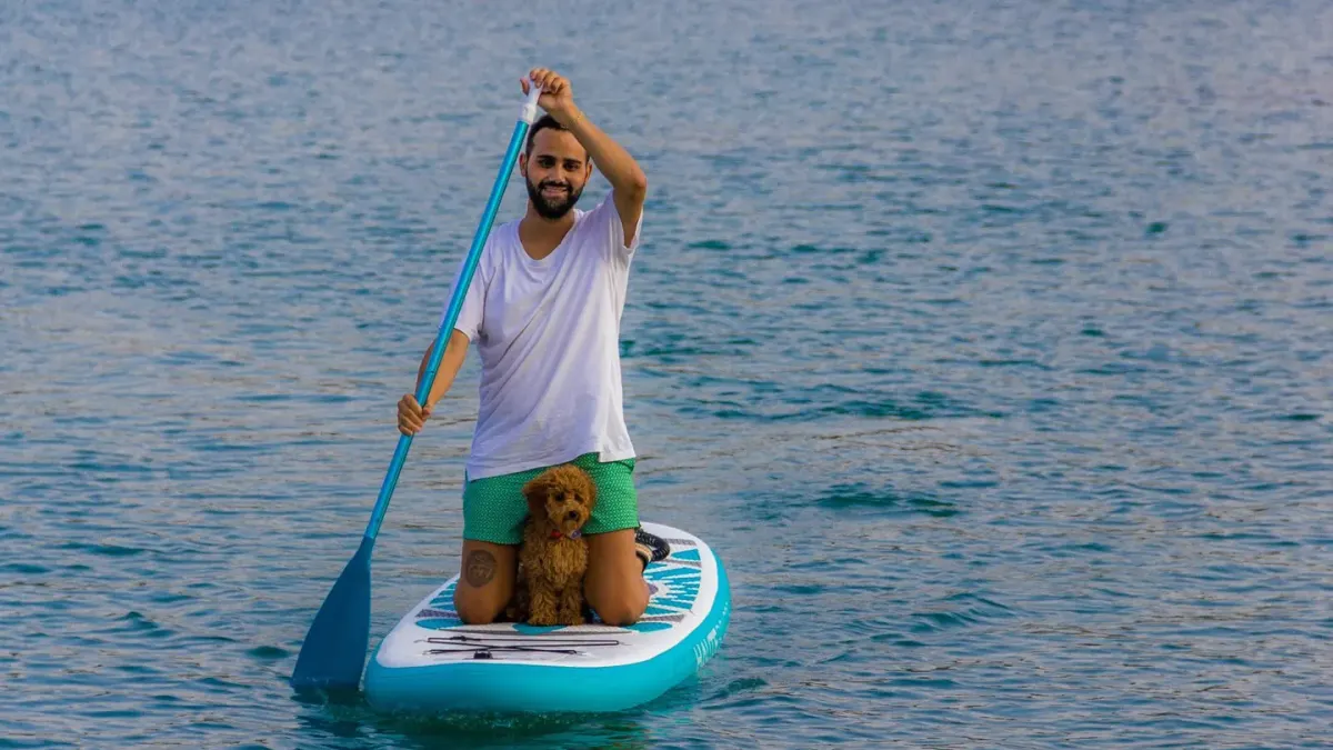 Dog on a paddleboard