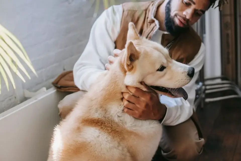 Dog owner reading an ingredient label in the kitchen